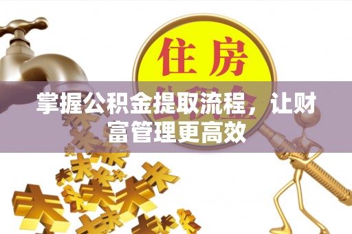 海棠掌握公积金提取流程，让财富管理更高效