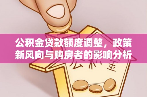 海棠公积金贷款额度调整，政策新风向与购房者的影响分析