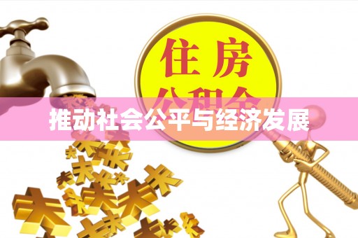 海棠推动社会公平与经济发展