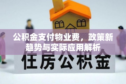 海棠公积金支付物业费，政策新趋势与实际应用解析