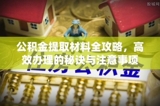 海棠公积金提取材料全攻略，高效办理的秘诀与注意事项
