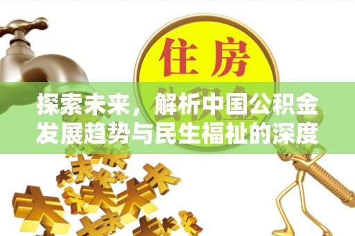 海棠探索未来，解析中国公积金发展趋势与民生福祉的深度关联
