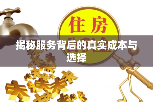 海棠揭秘服务背后的真实成本与选择