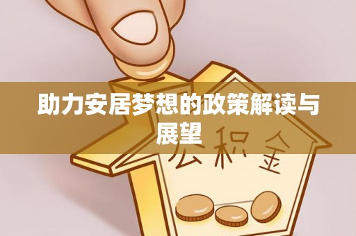 海棠助力安居梦想的政策解读与展望