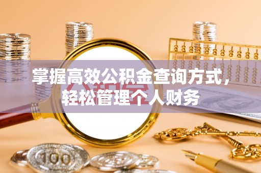 海棠掌握高效公积金查询方式，轻松管理个人财务