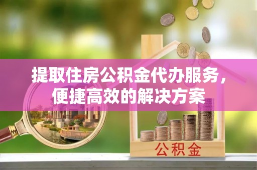 海棠提取住房公积金代办服务，便捷高效的解决方案