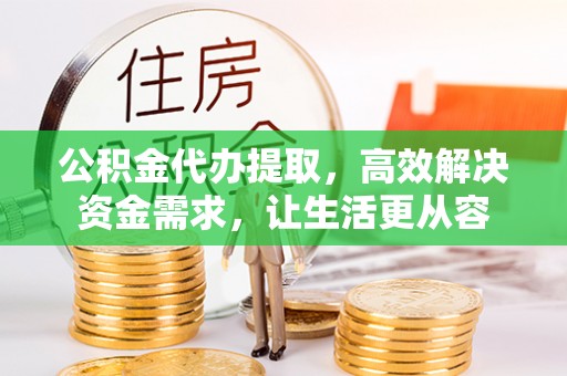 海棠公积金代办提取，高效解决资金需求，让生活更从容