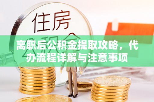 海棠离职后公积金提取攻略，代办流程详解与注意事项
