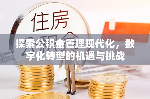 海棠探索公积金管理现代化，数字化转型的机遇与挑战