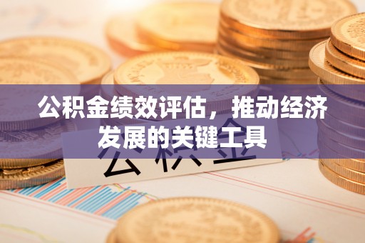 海棠公积金绩效评估，推动经济发展的关键工具