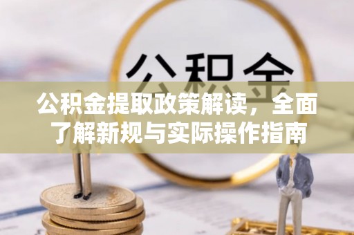 海棠公积金提取政策解读，全面了解新规与实际操作指南