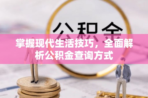 海棠掌握现代生活技巧，全面解析公积金查询方式