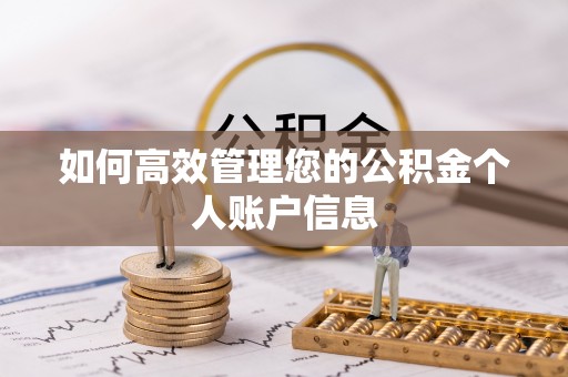 海棠如何高效管理您的公积金个人账户信息