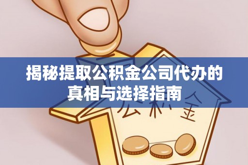 海棠揭秘提取公积金公司代办的真相与选择指南