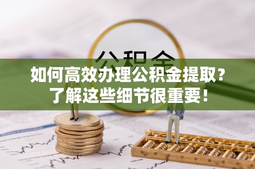 海棠如何高效办理公积金提取？了解这些细节很重要！