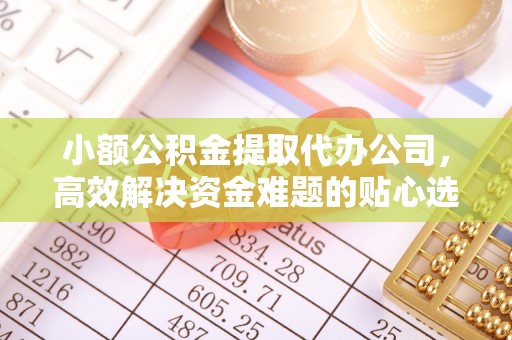 海棠小额公积金提取代办公司，高效解决资金难题的贴心选择