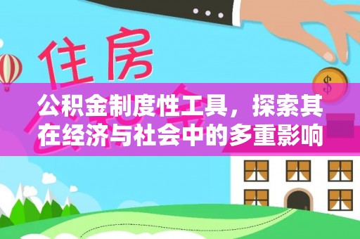 海棠公积金制度性工具，探索其在经济与社会中的多重影响