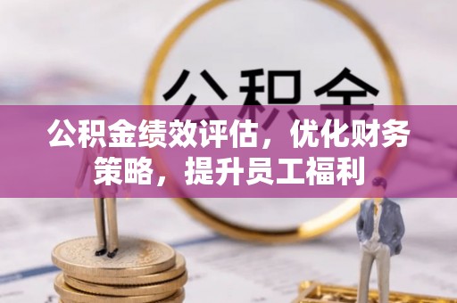 海棠公积金绩效评估，优化财务策略，提升员工福利