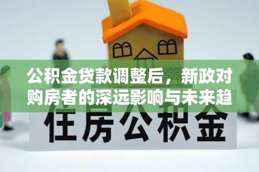 海棠公积金贷款调整后，新政对购房者的深远影响与未来趋势