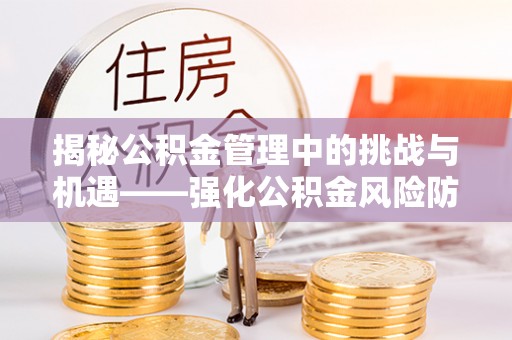 海棠揭秘公积金管理中的挑战与机遇——强化公积金风险防控的多维策略