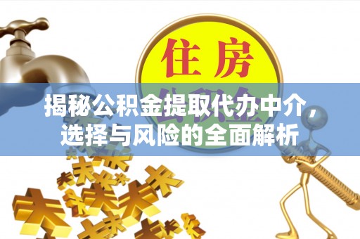 海棠揭秘公积金提取代办中介，选择与风险的全面解析