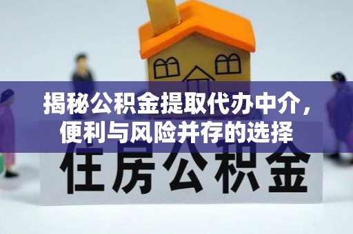 海棠揭秘公积金提取代办中介，便利与风险并存的选择
