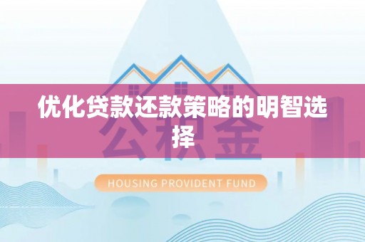 海棠优化贷款还款策略的明智选择