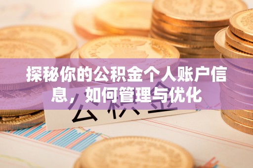 海棠探秘你的公积金个人账户信息，如何管理与优化
