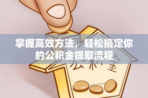 海棠掌握高效方法，轻松搞定你的公积金提取流程
