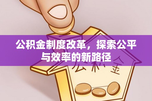 海棠公积金制度改革，探索公平与效率的新路径