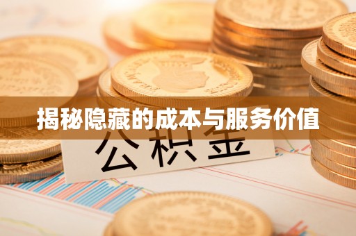 海棠揭秘隐藏的成本与服务价值