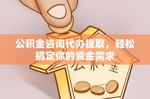 海棠公积金咨询代办提取，轻松搞定你的资金需求