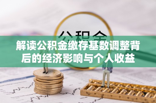 海棠解读公积金缴存基数调整背后的经济影响与个人收益