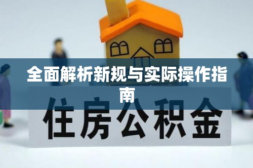 海棠全面解析新规与实际操作指南