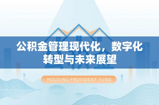 海棠公积金管理现代化，数字化转型与未来展望