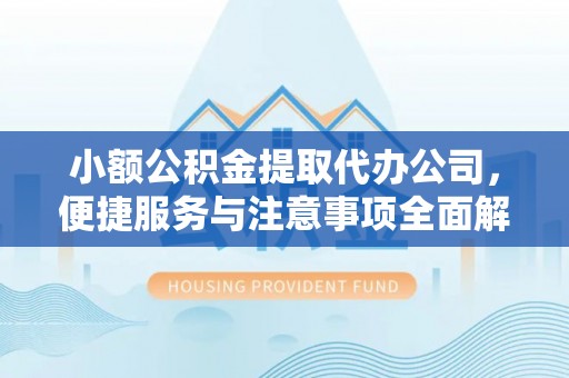海棠小额公积金提取代办公司，便捷服务与注意事项全面解析