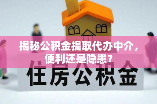 海棠揭秘公积金提取代办中介，便利还是隐患？