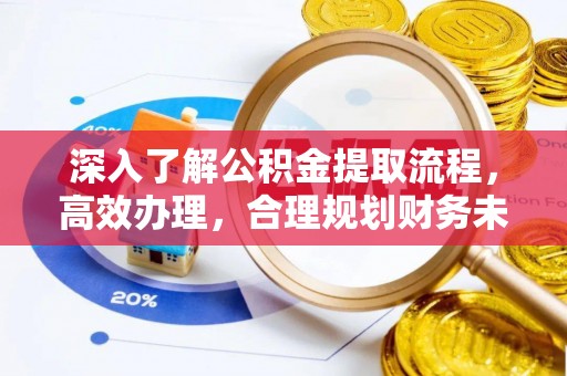 海棠深入了解公积金提取流程，高效办理，合理规划财务未来