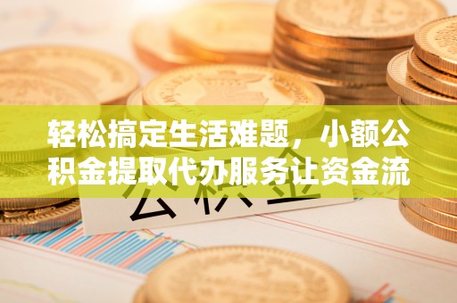 海棠轻松搞定生活难题，小额公积金提取代办服务让资金流转更便捷