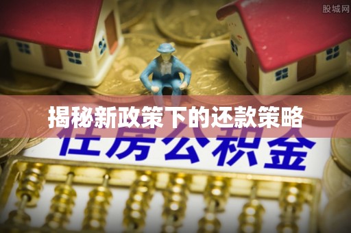 海棠揭秘新政策下的还款策略