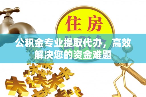 海棠公积金专业提取代办，高效解决您的资金难题