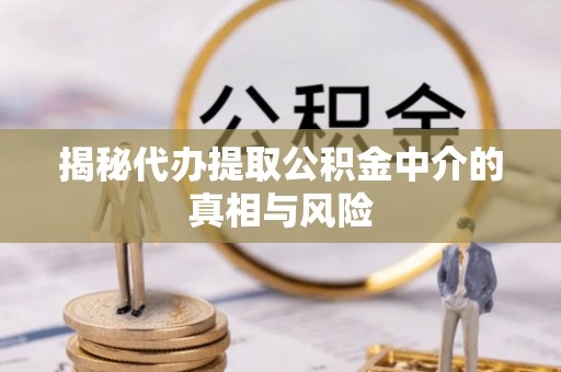 海棠揭秘代办提取公积金中介的真相与风险