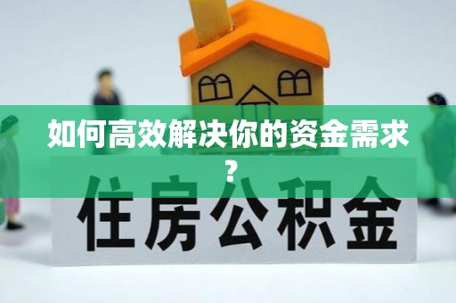 海棠如何高效解决你的资金需求？