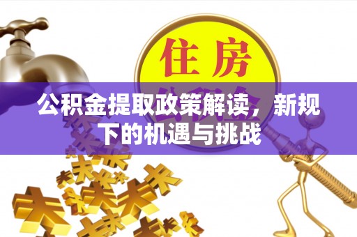 海棠公积金提取政策解读，新规下的机遇与挑战