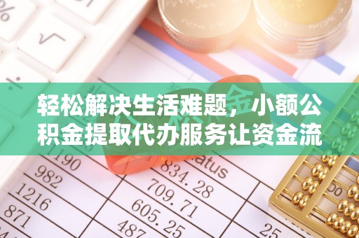 海棠轻松解决生活难题，小额公积金提取代办服务让资金流动更便捷
