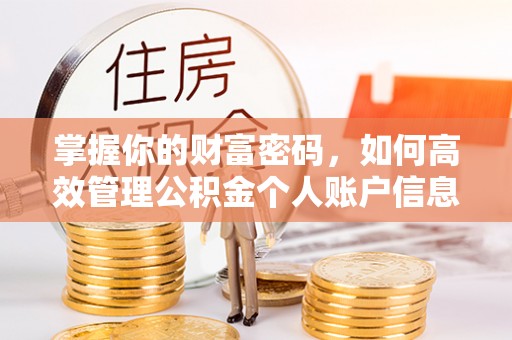 海棠掌握你的财富密码，如何高效管理公积金个人账户信息