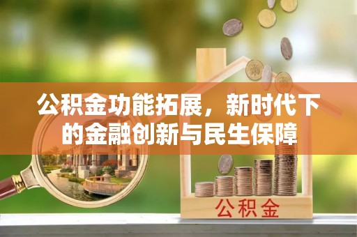 海棠公积金功能拓展，新时代下的金融创新与民生保障
