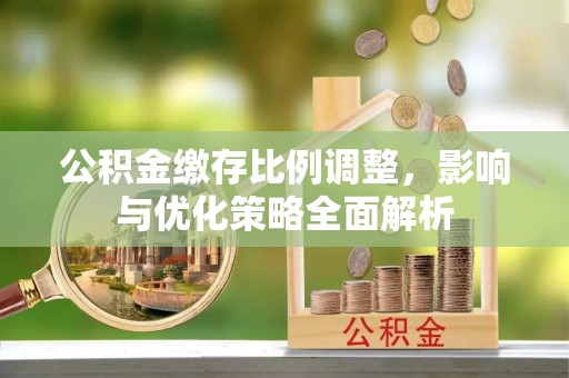 海棠公积金缴存比例调整，影响与优化策略全面解析
