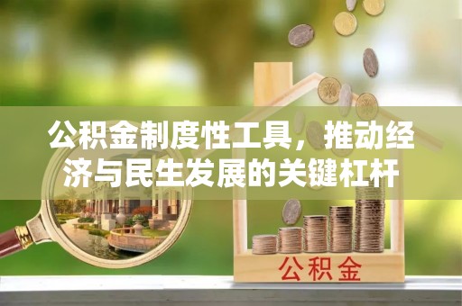 海棠公积金制度性工具，推动经济与民生发展的关键杠杆