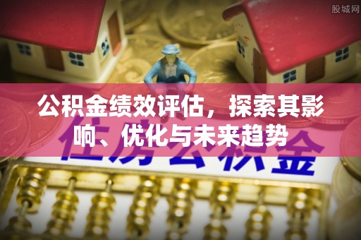 海棠公积金绩效评估，探索其影响、优化与未来趋势